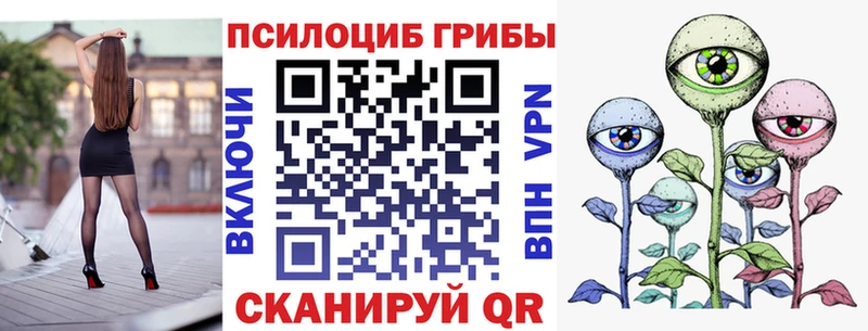 Псилоцибиновые грибы Psilocybine cubensis  закладки  Уссурийск 