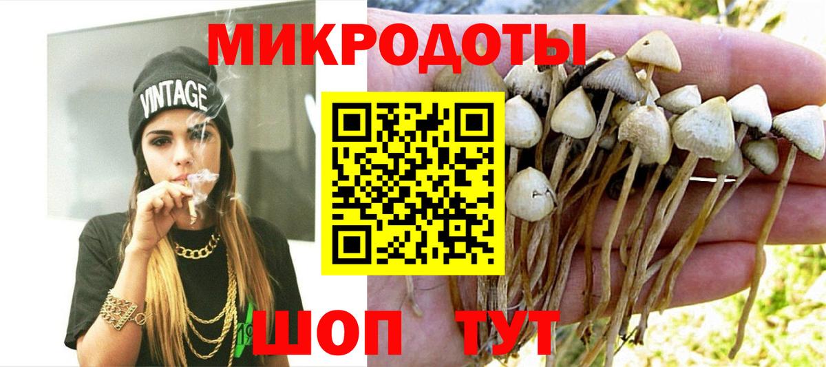 Псилоцибиновые грибы MAGIC MUSHROOMS Уссурийск
